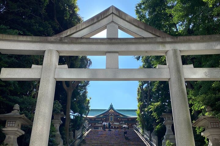 Tameike Exploring the Heart of Japanese Politics Tour — photo 6