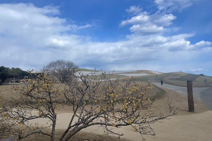 North Ibaraki Tour — photo 5