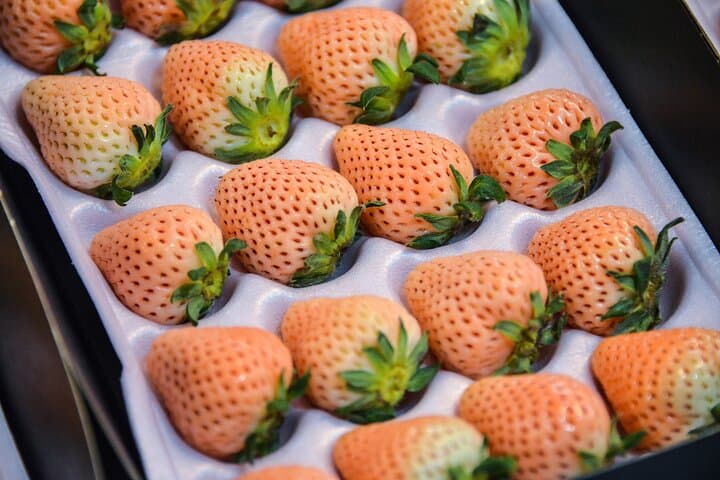 Tokyo | Tsukiji(築地)Fish Market Food Walking & Shrine Visit Tour — photo 11