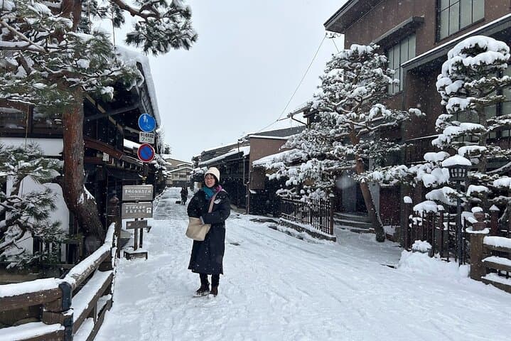 Takayama Full Day Tour (Private Guide) — photo 16