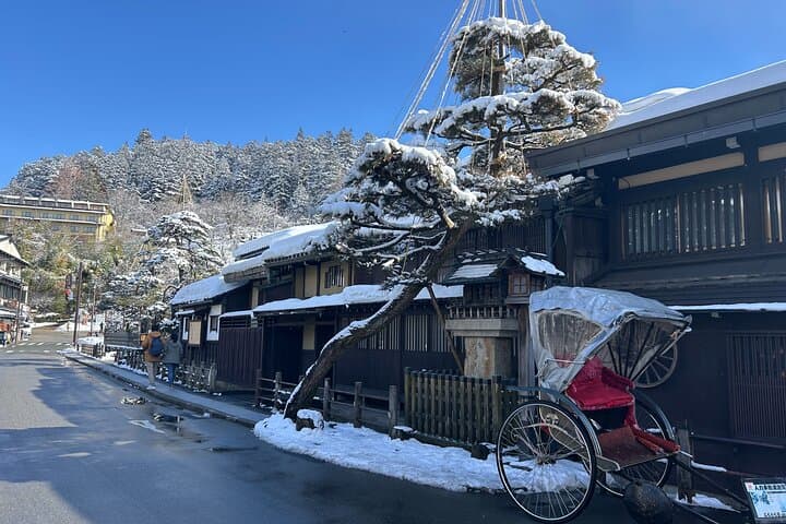 Takayama Full Day Tour (Private Guide) — photo 11