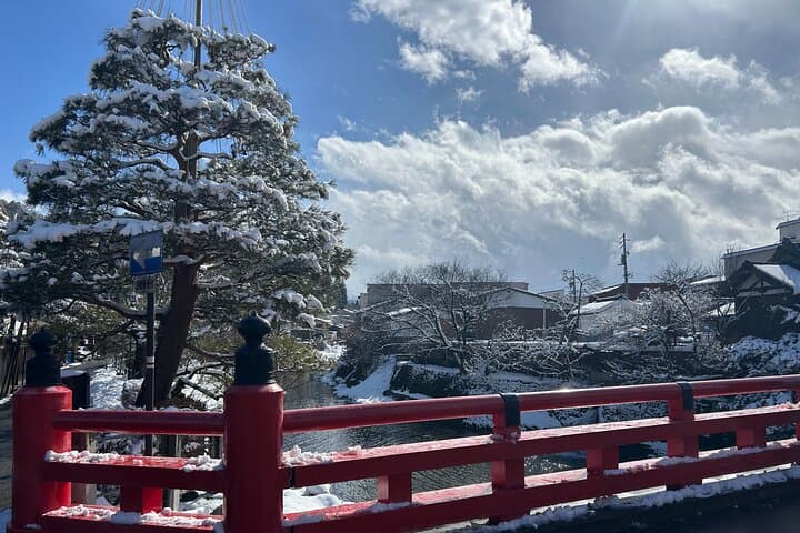 Takayama Full Day Tour (Private Guide) — photo 17