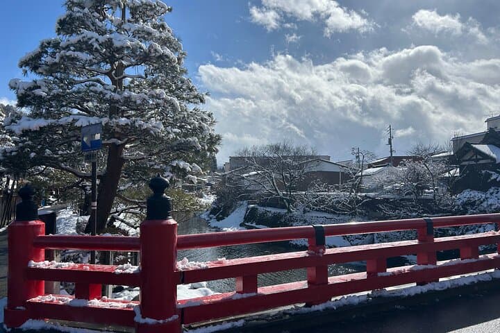 Takayama Half Day Tour (Private Guide) — photo 13