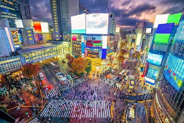 Private Tokyo Tour with English Speaking Guide — photo 2