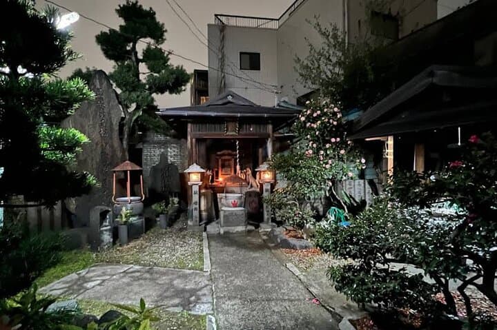 Deep Osaka Night Walking Tour with Optional Dinner — photo 4