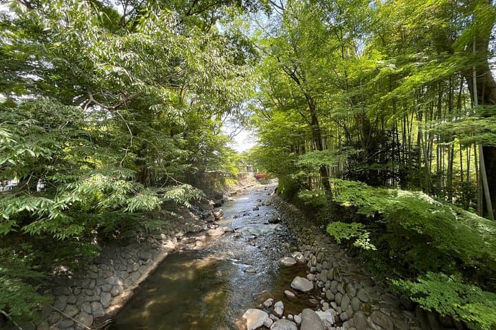 Ultimate View Izu Car Tour with Hotel Pickup and Local Guide — photo 12