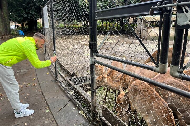 Private Hakone Half-day Car Tour with Hotel Pickup - Local Guide — photo 7