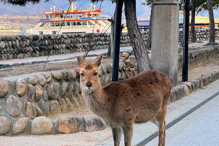 Peaceful Hiroshima & Miyajima UNESCO 1 Day Bus Tour — photo 7