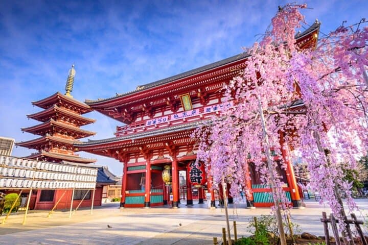 Private Tokyo Tour with English Speaking Guide — photo 3
