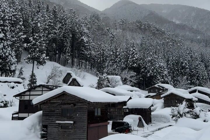 Day Tour from Nagoya in Gujo Hachiman Takayama and Shirakawago — photo 4