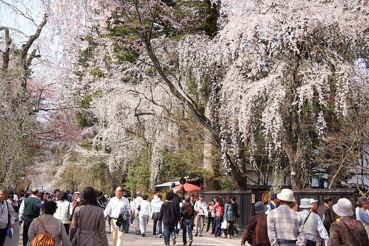 Private Akita Samurai and History Tour by Car — photo 2