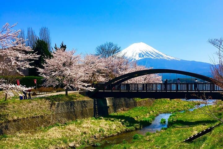 Season Special: Private Mt. Fuji Shibazakura Spring Tour — photo 17