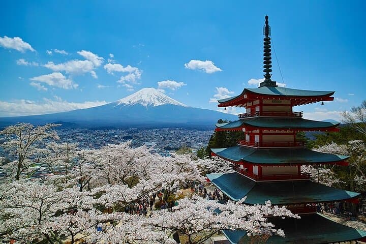 Season Special: Private Mt. Fuji Shibazakura Spring Tour — photo 13