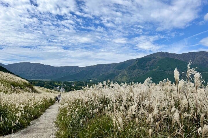 Evangelion Hakone Tour Explore The Third New Tokyo City — photo 4