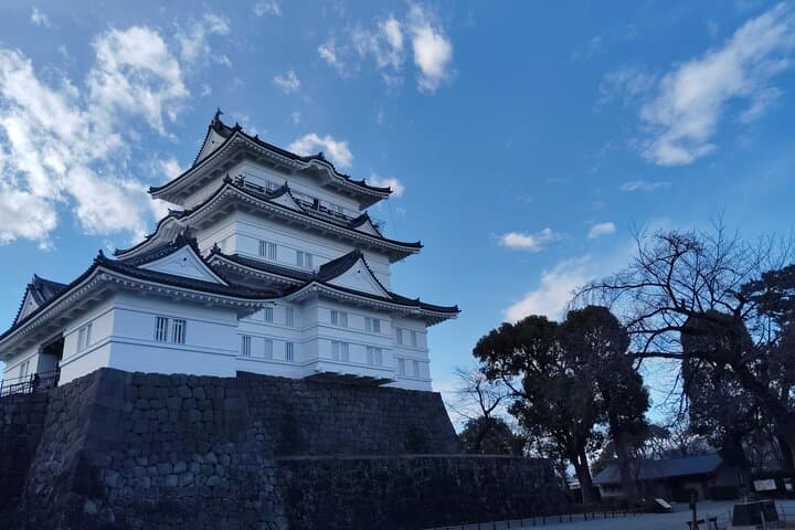 Odawara Castle Discovery of the Sengoku Samurai History — photo 13