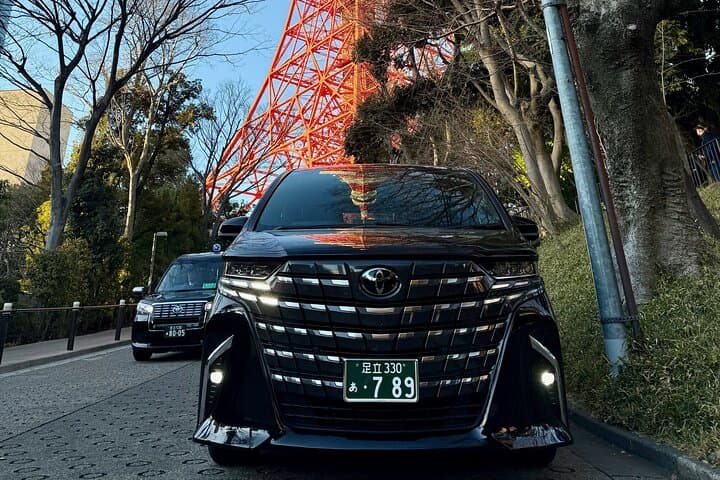 Narita Airport Private Transfer To Tokyo City — photo 8
