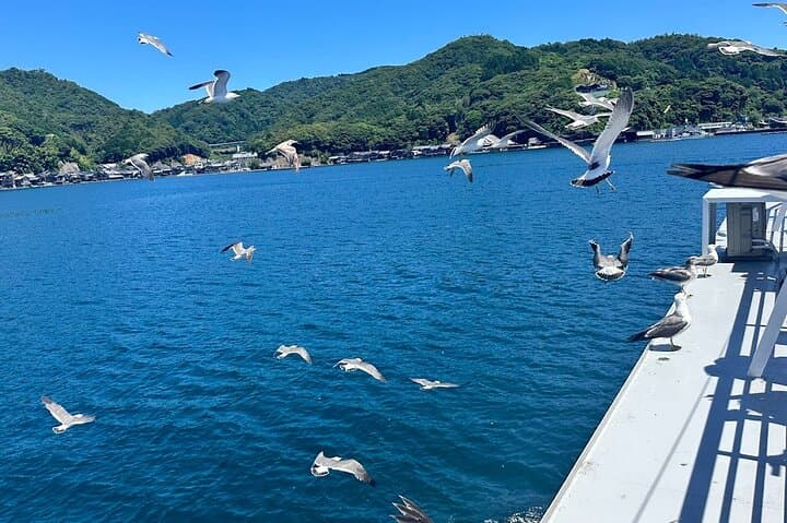 Amanohashidate & Ine Funaya Sightseeing Full Day Trip from Kyoto — photo 17