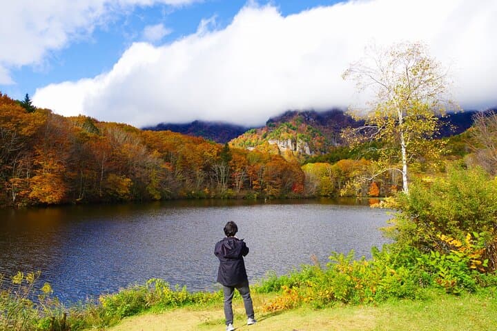 Togakushi: A Serene Walk Through Sacred Forests & Soba Traditions — photo 9