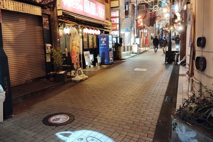 Bar Hopping in Odawara A Guide to Local Spots — photo 6