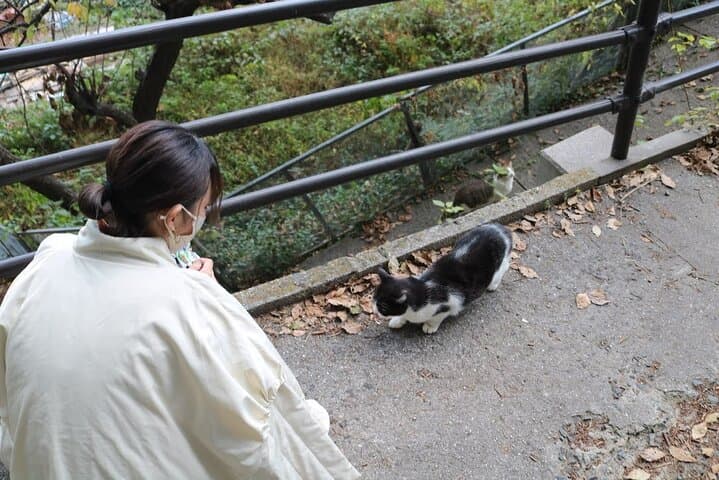 Hiroshima A Must See Onomichi 2 Hour Private Tour — photo 10