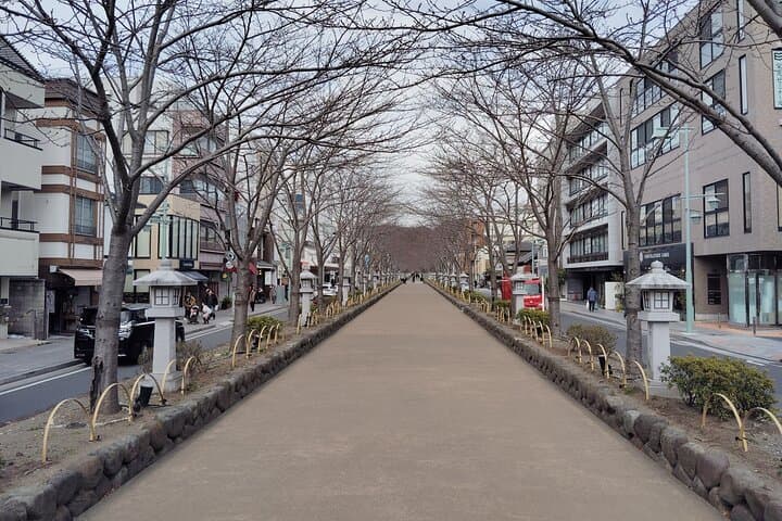 Kamakura: Tsurugaoka Hachimangu & Komachi Street Tour — photo 6