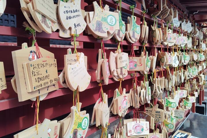 Kamakura Highlights Great Buddha Shrine and Scenic Enoden Ride — photo 18