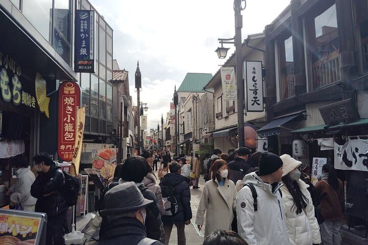 Kamakura Highlights Great Buddha Shrine and Scenic Enoden Ride — photo 19