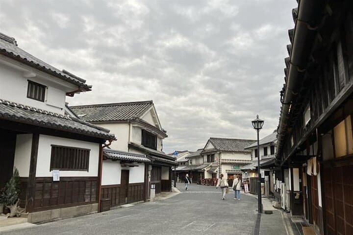 An Art Tour in the Bikan Historical Quarter by Rickshaw — photo 2