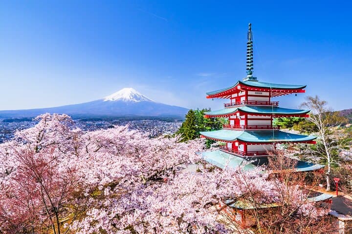 Mt Fuji Kawaguchi or Hakone customize private charter car service — photo 7