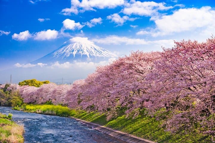 Mt Fuji Kawaguchi or Hakone customize private charter car service — photo 5