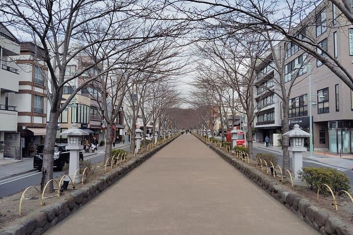 Kamakura Highlights Great Buddha Shrine and Scenic Enoden Ride — photo 15