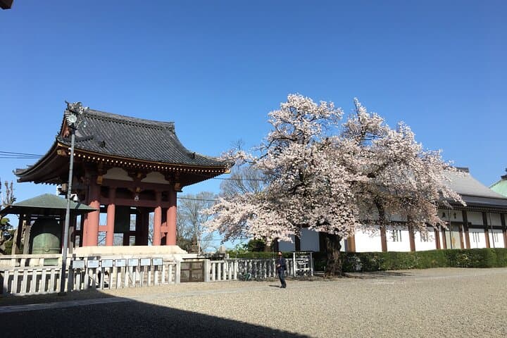 Experience a day Like a Local: Miso-soup Making & Sakura Viewing — photo 15