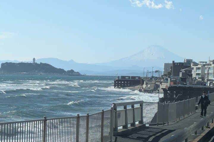 Kamakura and Enoshima Private Tour with English Speaking Driver — photo 19
