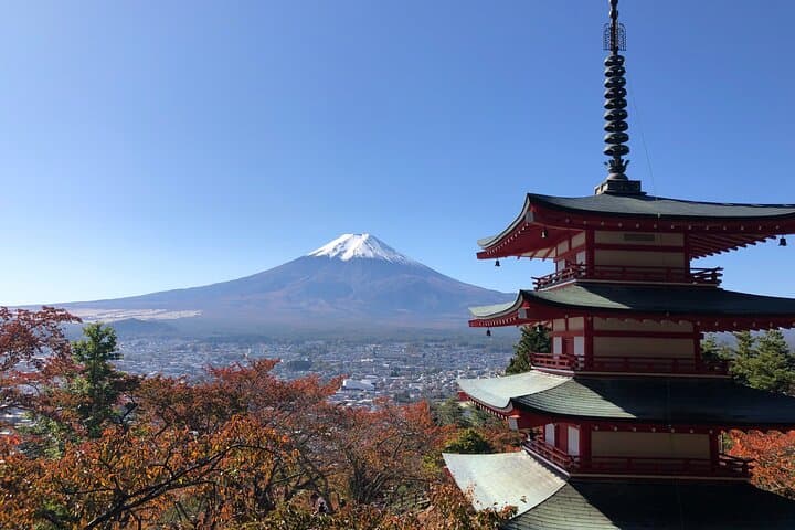 Mount Fuji Panoramic View and Shopping Day Tour from Shinjuku — photo 1