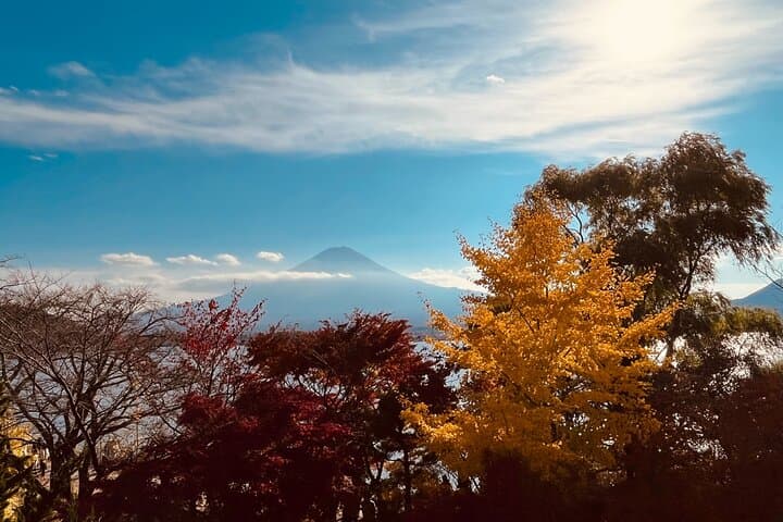 Mount Fuji Panoramic View and Shopping Day Tour from Shinjuku — photo 4