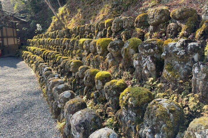 Kyoto Arashiyama Tour: Iconic Sights and Hidden Treasures — photo 3