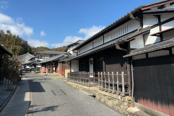 Kyoto Arashiyama Tour: Iconic Sights and Hidden Treasures — photo 20