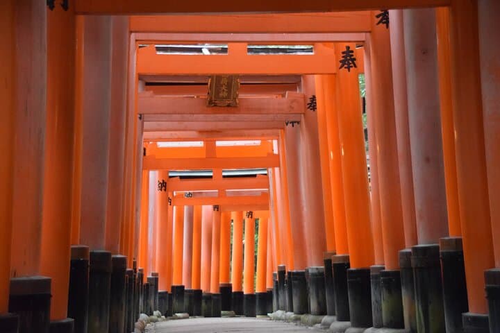 Kyoto Guided Walking Tour Highlight of Kiyomizu & Fushimi Inari — photo 11