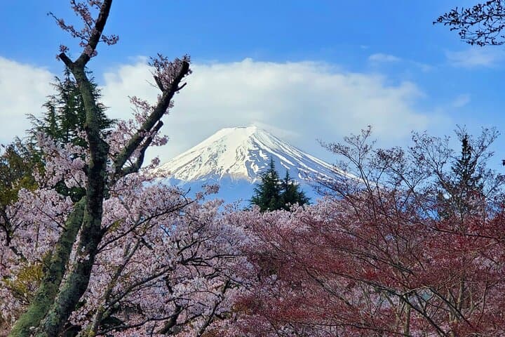 Mount Fuji Full-Day Private Tour from Tokyo (Customizable) — photo 5