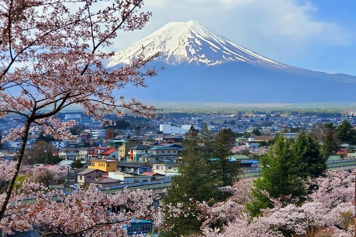 Mount Fuji and Hakone Private Tour from Tokyo (Customizable) — photo 3