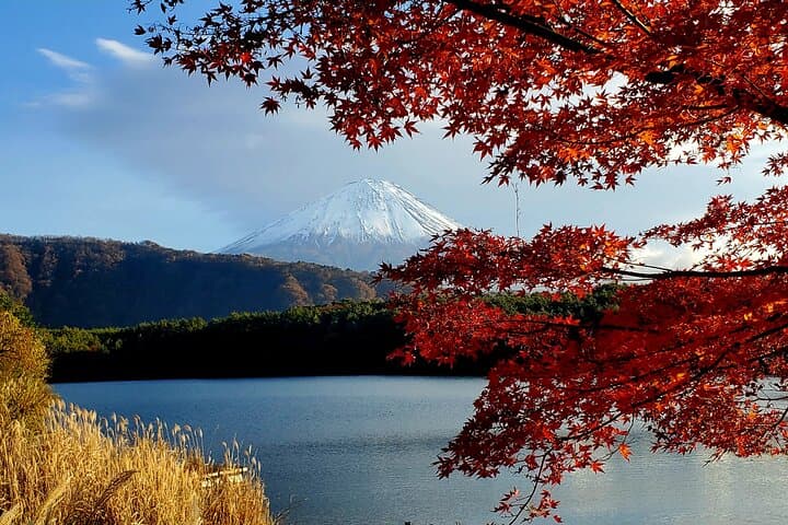 Mt Fuji & Hakone Private Tour from Tokyo: Return by Bullet Train — photo 4
