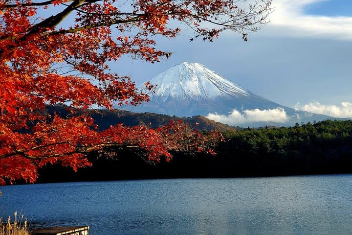 Mt Fuji & Hakone Private Tour from Tokyo: Return by Bullet Train — photo 14