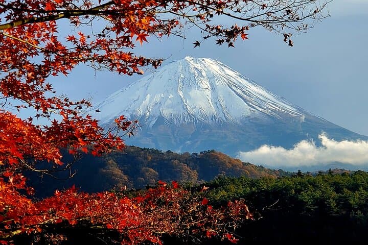 Mt Fuji & Hakone Private Tour from Tokyo: Return by Bullet Train — photo 19
