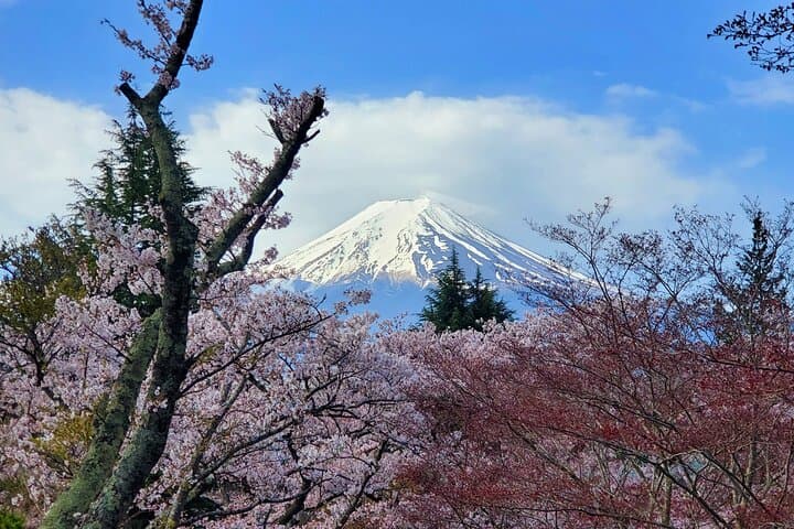 Mt Fuji & Hakone Private Tour from Tokyo: Return by Bullet Train — photo 12
