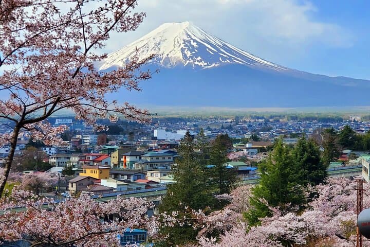 Mt Fuji & Hakone Private Tour from Tokyo: Return by Bullet Train — photo 10