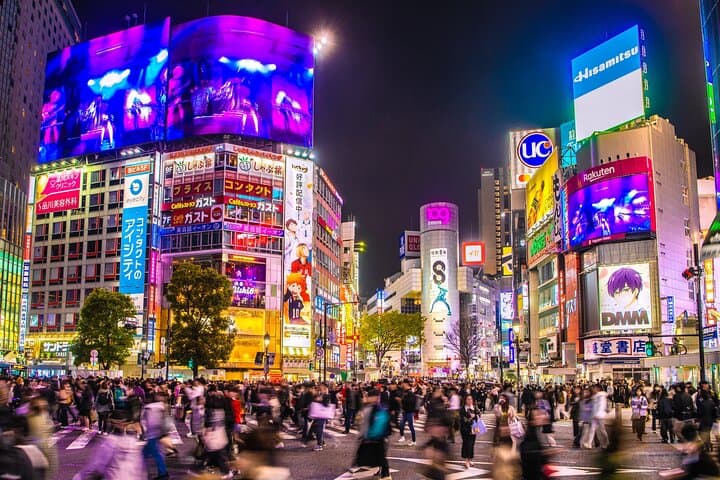 Tokyo | Fully Personalized Private Day Tour with Certified Guide — photo 4