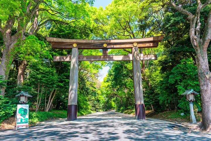 Tokyo | Fully Personalized Private Day Tour with Certified Guide — photo 3