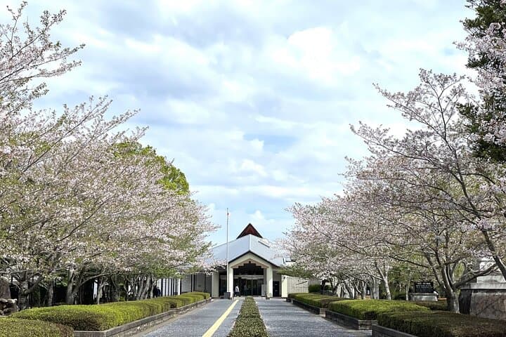 Kagoshima Chiran route by Car — photo 11