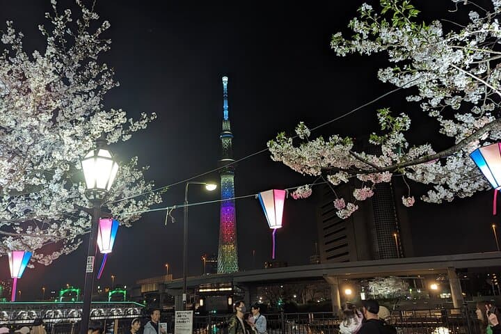 Asakusa: Night viewing of cherry blossom — photo 12