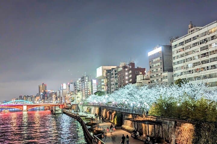 Asakusa: Night viewing of cherry blossom — photo 2